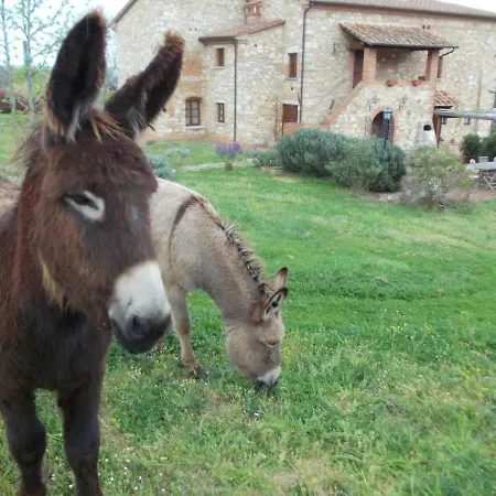Le Pergoline Bed & Breakfast *