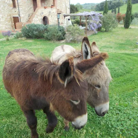 Le Pergoline *