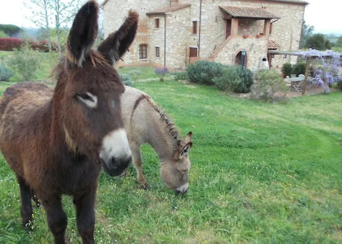 Le Pergoline Bed & Breakfast *